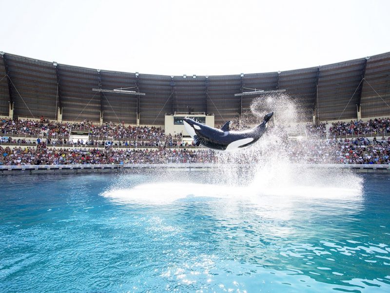 Marineland Antibes - traitement de l'eau Marineland Antibes - traitement de l'eau